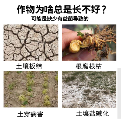 枯草芽孢杆菌农用复合微生物菌剂果树蔬菜微生物菌肥枯草芽孢杆菌