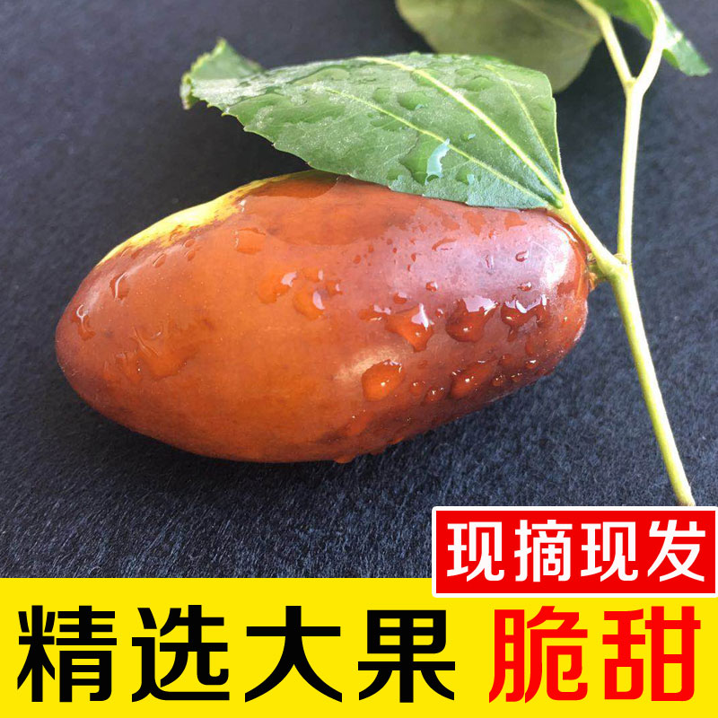 鲜枣新鲜现摘宁夏大枣灵武长枣脆甜红枣枣子5斤当季水果孕妇冬枣
