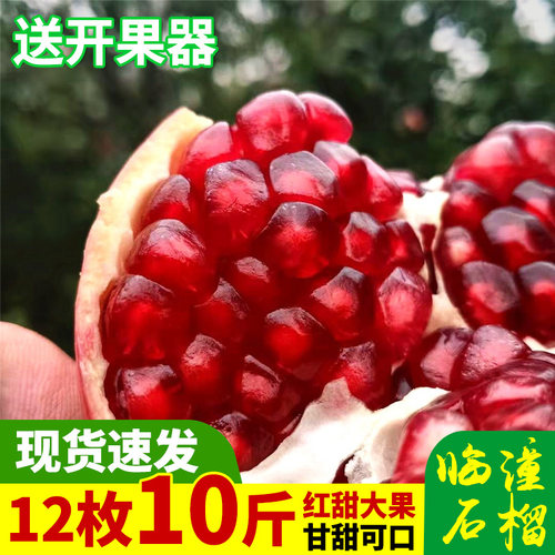 主推西安兵马俑正宗临潼红甜石榴