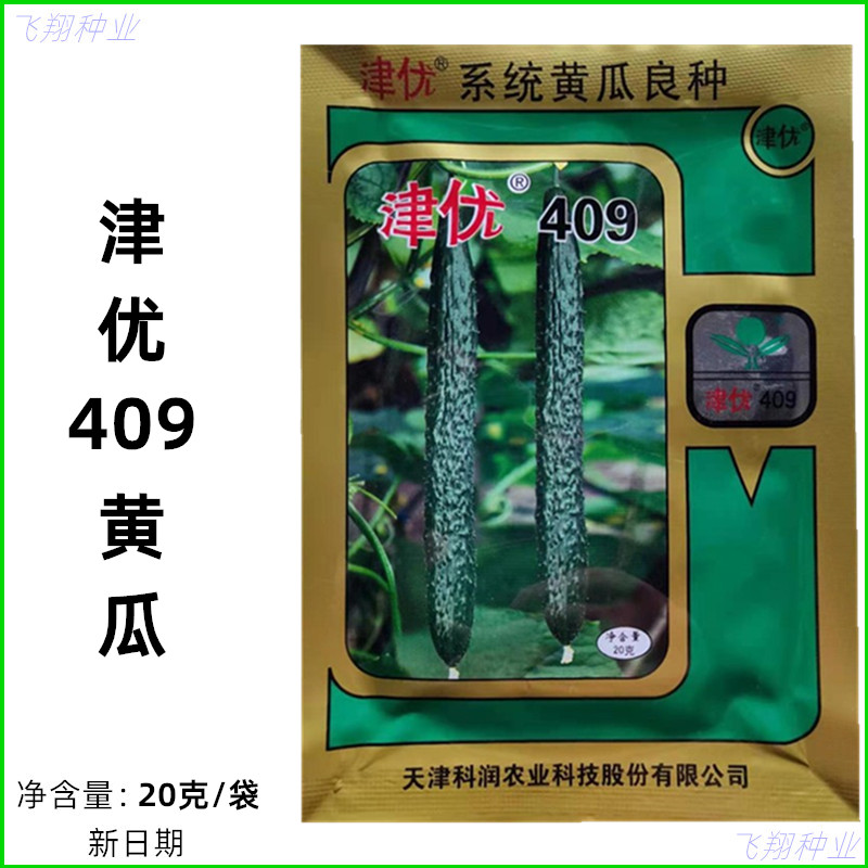 津优409黄瓜种子刺瓜天津科润种业油亮型黄瓜种春夏秋季黄瓜种孑