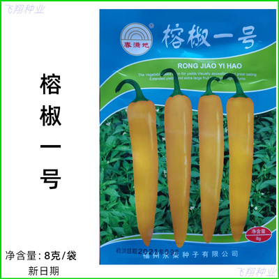 永荣榕椒一号种子黄辣椒香辣椒永安黄椒良种春夏秋季蔬菜种孑