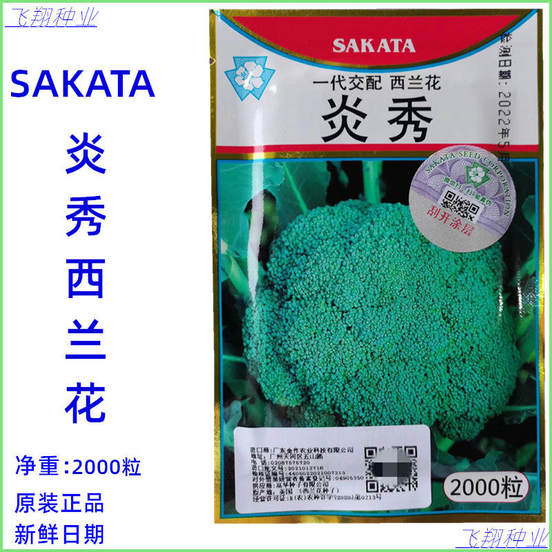 日本炎秀西兰花种子孑耐热青花种家庭园艺种子