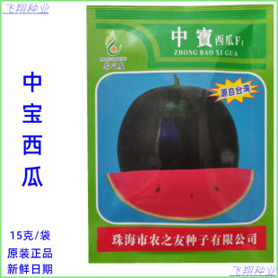 农之友中宝西瓜种子源自台湾种果实短椭圆抗性强春夏秋季西瓜种孑