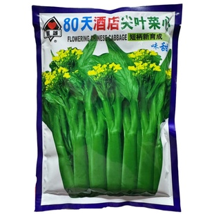 实诚80天酒店尖叶甜菜心种子矮脚脆嫩深油青小白菜四季播蔬菜种孑