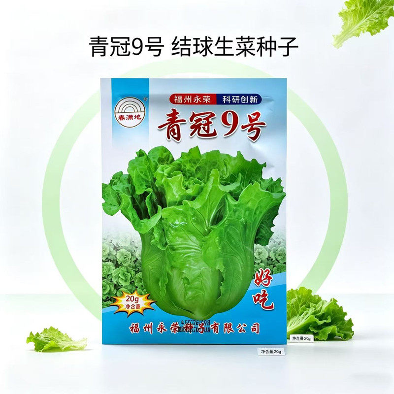 青冠9号结球生菜种子 春满地正品 叶肉厚稳产 秋季播种大田蔬菜种