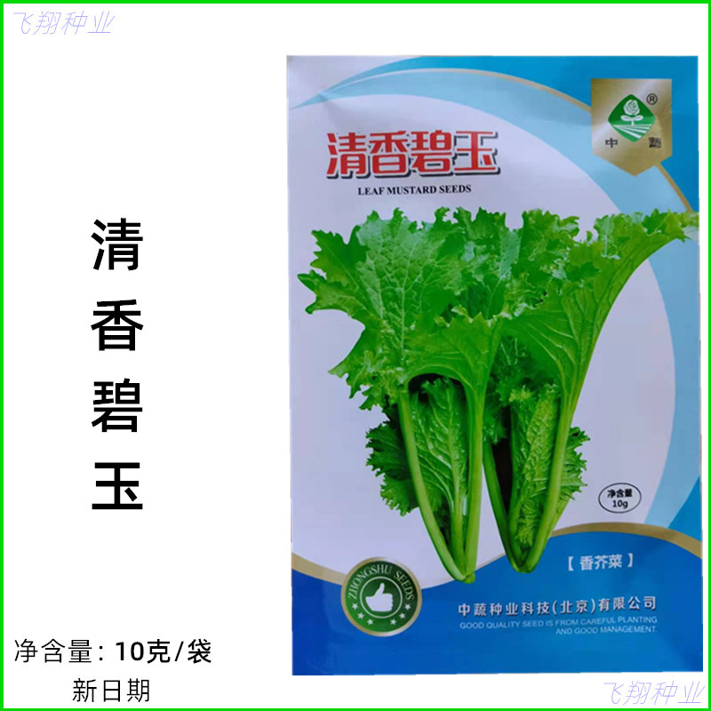 北京中蔬清香碧玉香芥菜种子清香味浓郁耐热耐寒耐湿秋季蔬菜种孑