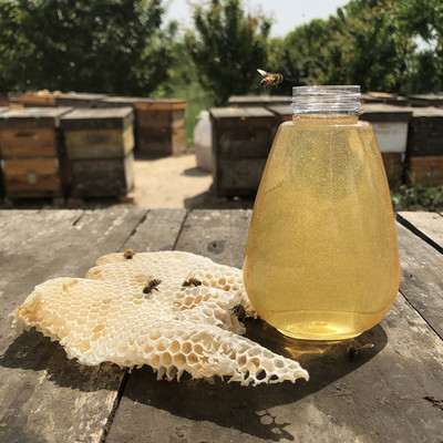 任家蜂业知乎任林鹏2025年百花蜂蜜农家自产新鲜口感香甜