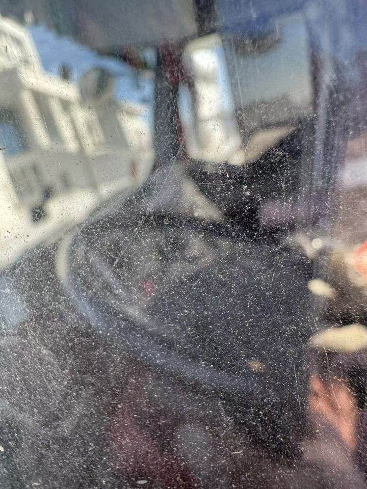 2月2日铜陵解放牌重型半挂牵引车辽PA8260、辽PY890挂等网络拍卖公告