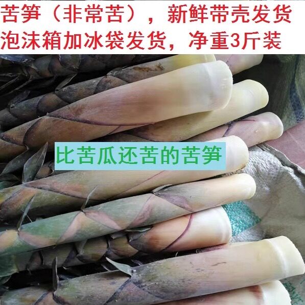 3斤装带壳苦笋 江西赣南新鲜野生带壳苦笋现采现发大小随机混发