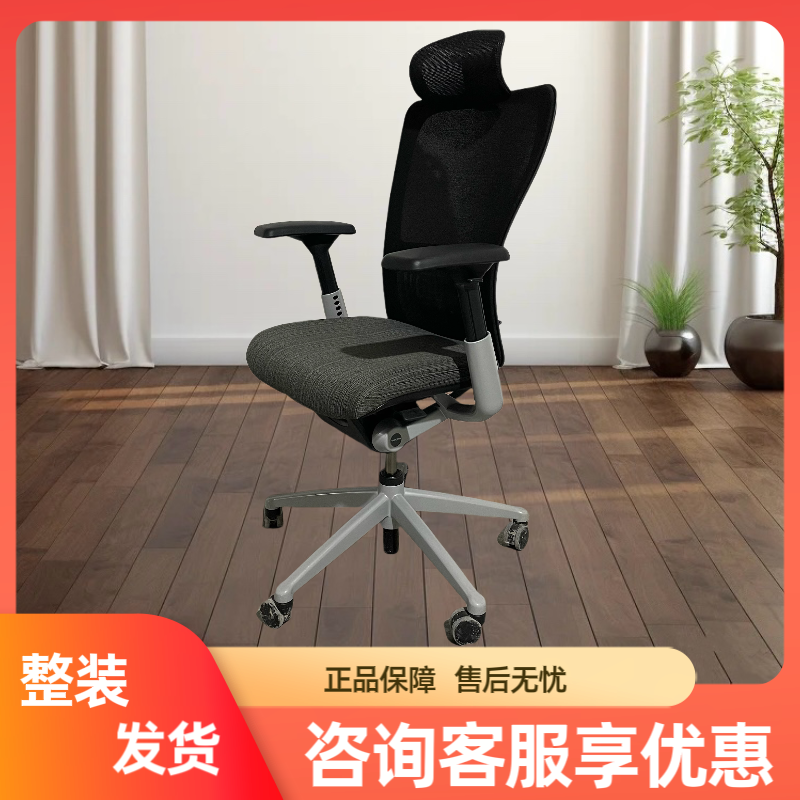 zody人体工学椅人工学办公椅家用