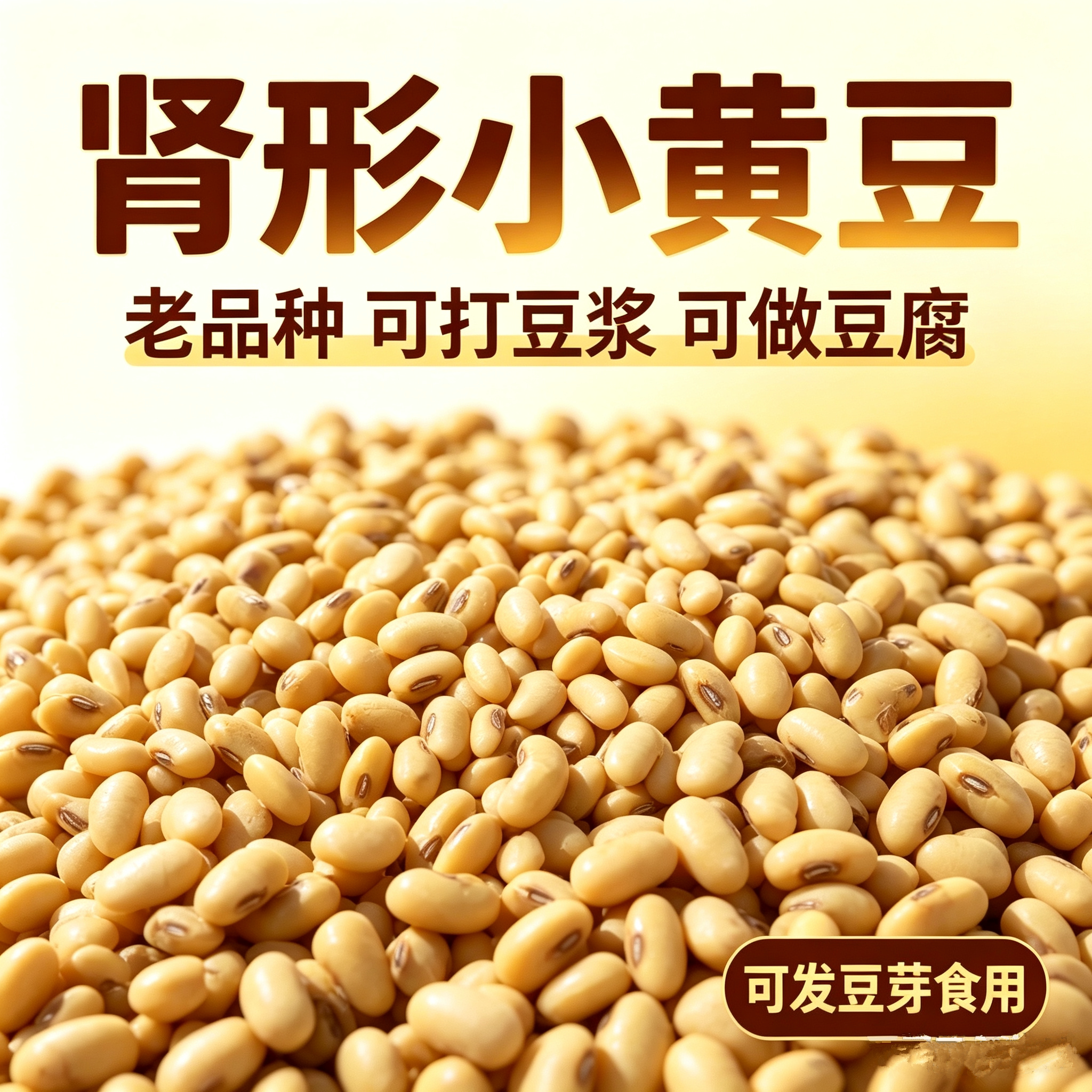 农家自产肾形黄豆笨黄豆农家自种老品种小黄豆可发芽食用豆浆豆腐