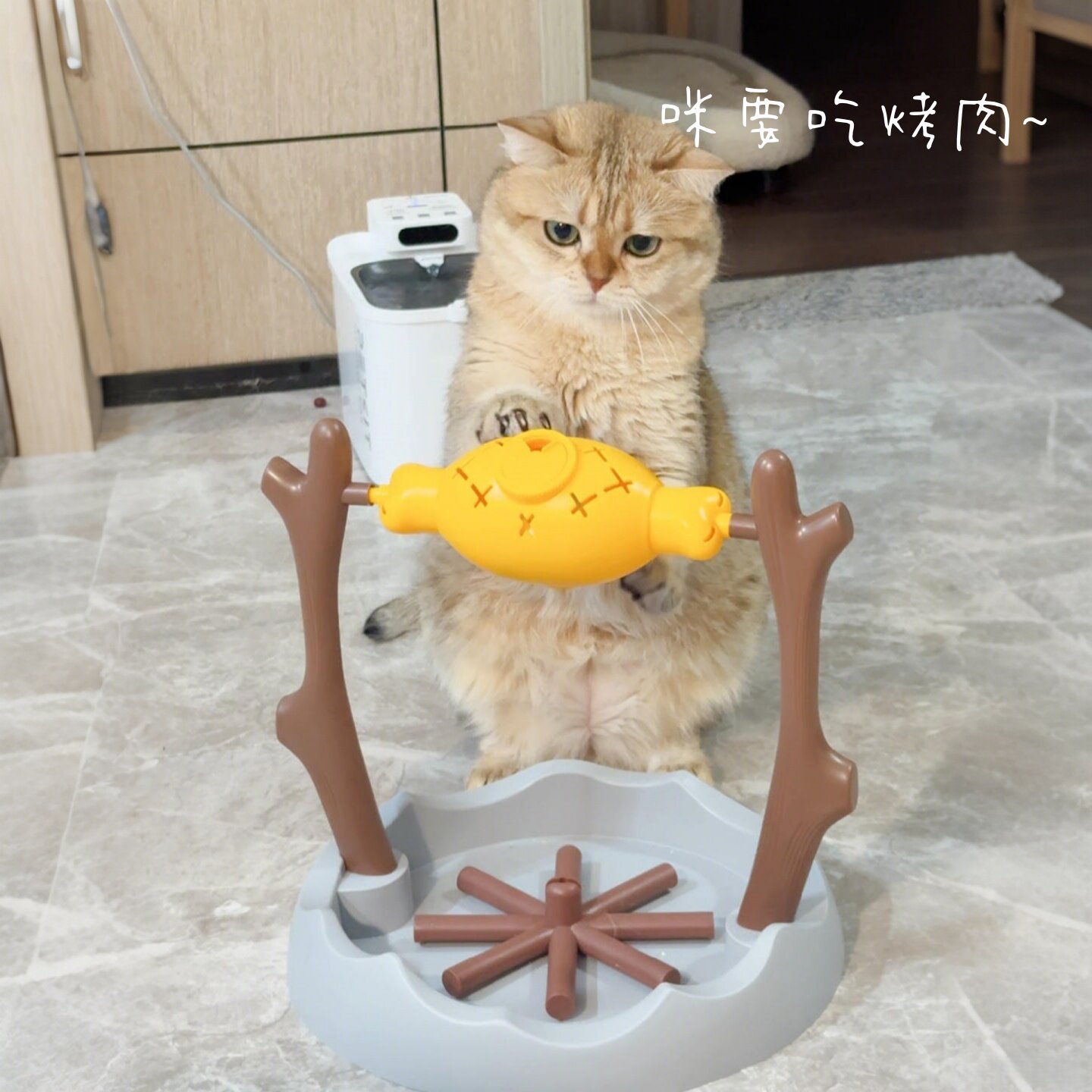 烤肉翻滚漏食猫咪玩具逗猫棒宠物益智自动喂食器自动逗猫玩具