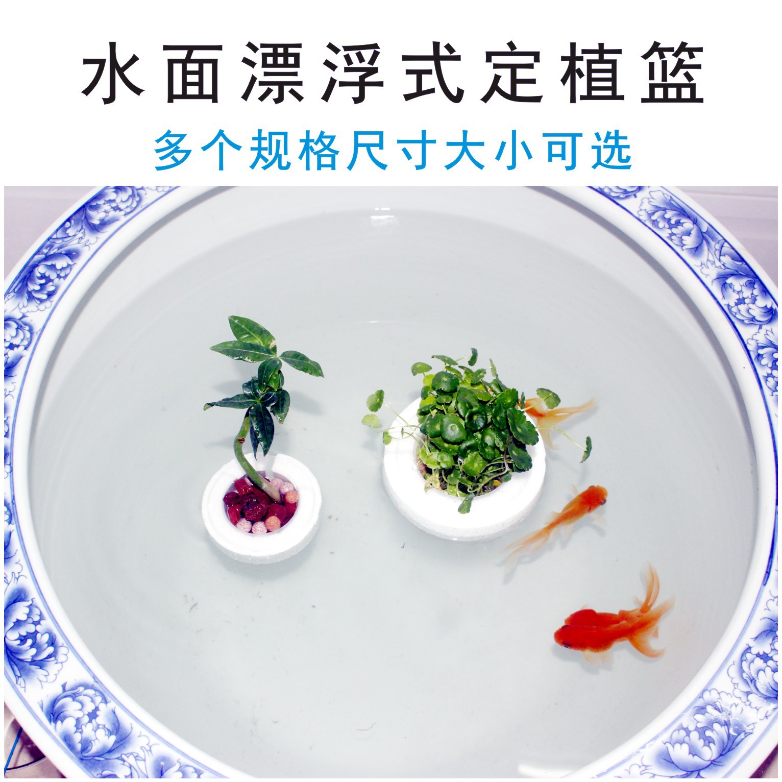 水面漂浮式定植篮圆形缸鱼盆造景水培植物固定器铜钱草定植固根篮