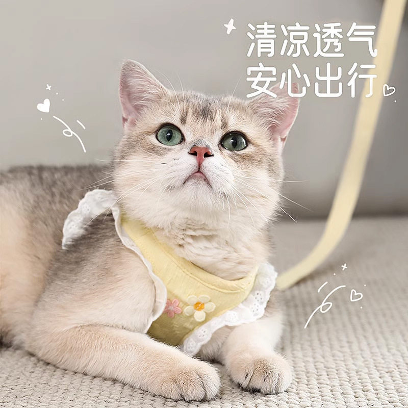 猫咪牵引绳防挣脱外出溜猫背心式胸背带小型犬狗狗防跑遛猫绳
