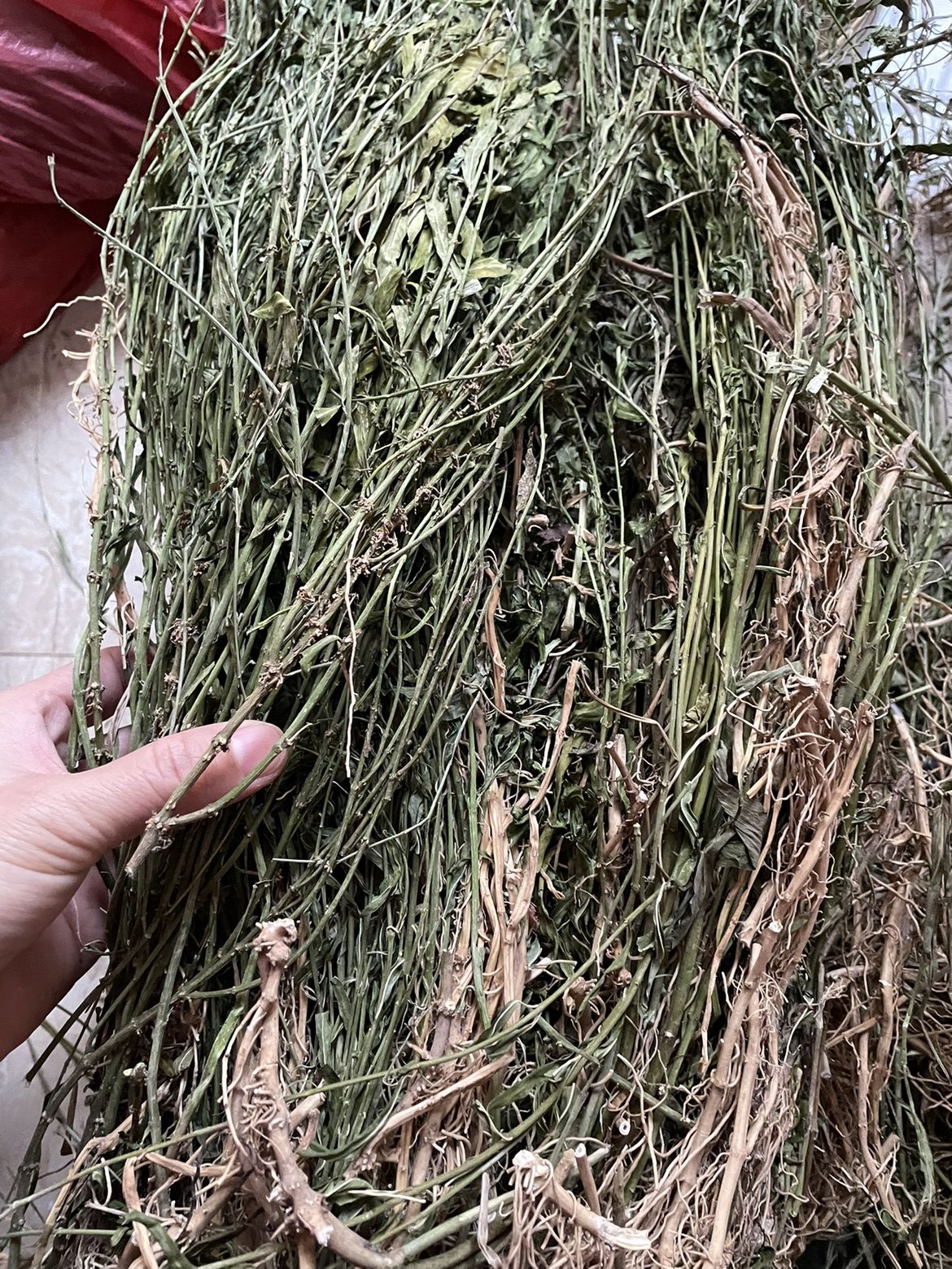 偏冷奇中草药材水杨柳 扯根菜 赶黄草 水泽兰 细杨柳 水柳仔500克