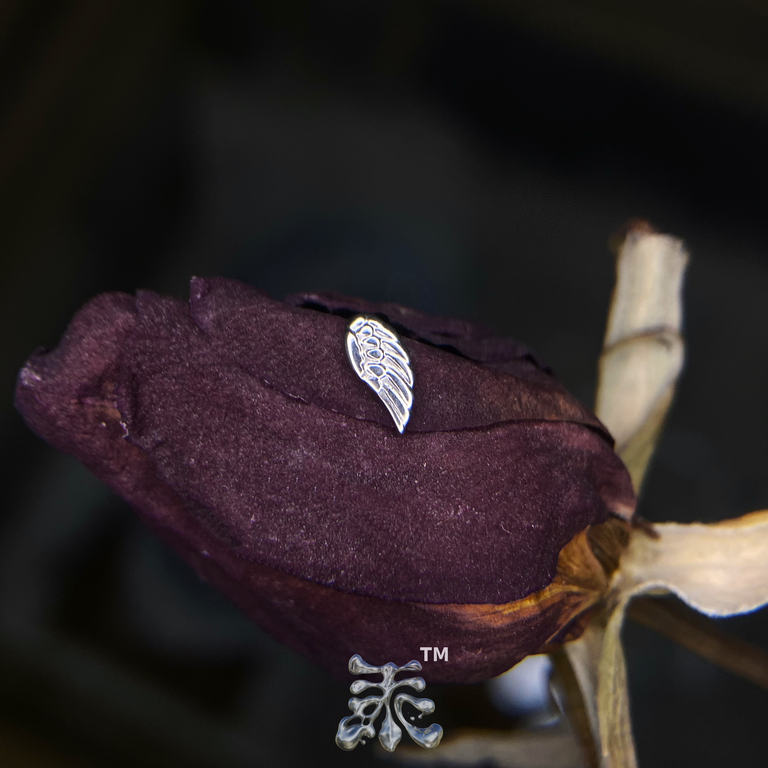 mini单边天使之翼钛合金耳钉 16/18g内螺纹植入级穿刺饰品 亚文化