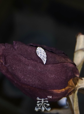mini单边天使之翼钛合金耳钉 16/18g内螺纹植入级穿刺饰品 亚文化