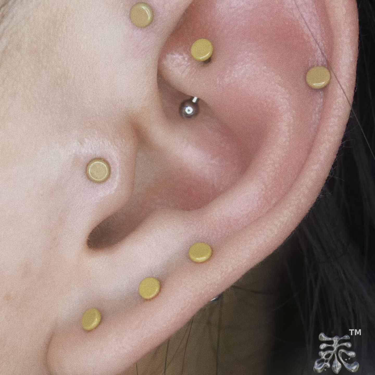 开学季肤色耳钉防过敏f136钛合金