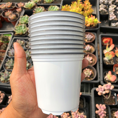 小园丁9cm塑料花盆双色