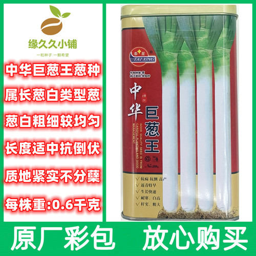 中华巨葱王大葱种子铁杆章丘大葱籽耐热耐寒生长快春秋播种大葱种