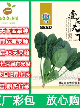 壹品天下杂交菠菜种子一斤装尖圆叶肥根红厚菠菜籽抗热耐寒菠菜籽