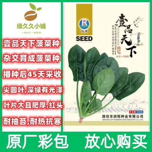 壹品天下杂交菠菜种子一斤装尖圆叶肥根红厚菠菜籽抗热耐寒菠菜籽