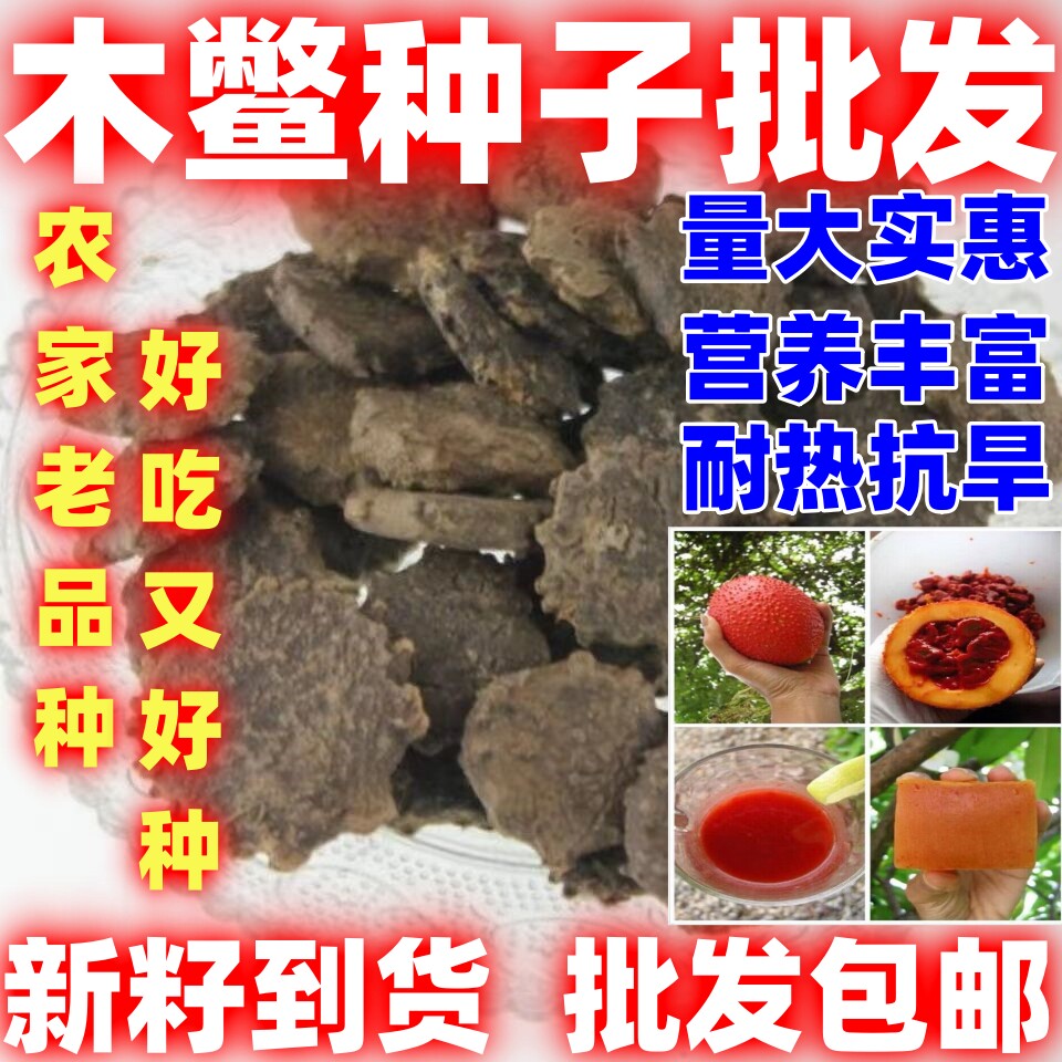 木鳖种子木鳖种籽木鳖果狗屎瓜种子散装木鳖种子营养丰富论斤卖