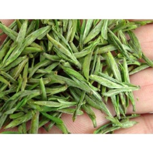 国宾礼茶2026年新茶岳西翠兰茶叶