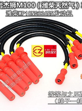 适配上汽红岩杰狮M100潍柴336马力天然气P12P10NG336E5分缸高压线