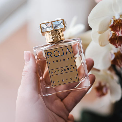 罗嘉德芬栀子花RojaDove