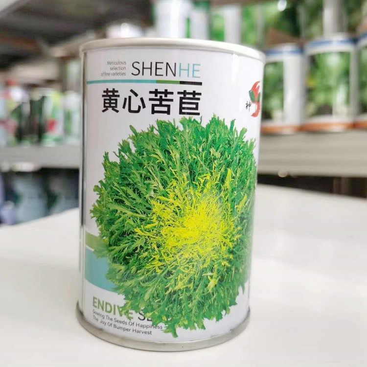 苦苣种子黄心苦菊种籽苦叶生菜九芽狗牙生菜金花细叶生菜蔬菜种孑
