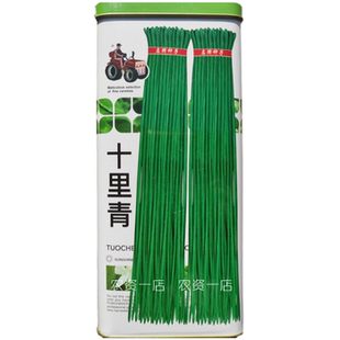 十里青高产豇豆种子早熟翠绿特长豆角种子春秋季架豆角蔬菜种子