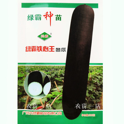 绿霸铁心王冬瓜种子炮弹形杂交黑皮冬瓜种籽高产春秋季大冬瓜种籽