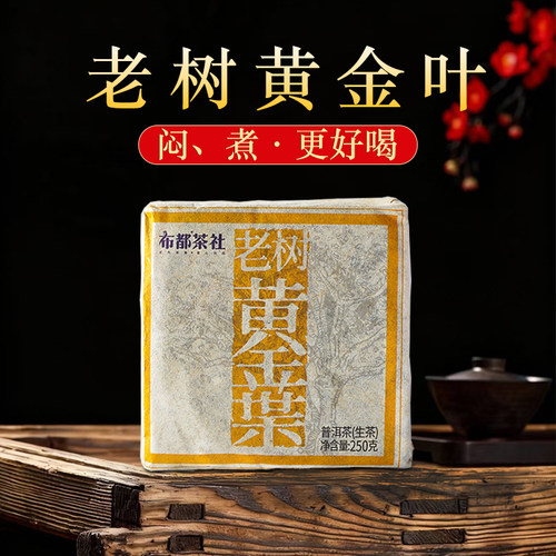 布都茶社普洱生茶药香价格实惠