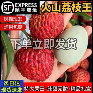 正宗海南火山荔枝王10斤新鲜特大纯甜无酸孕妇水果礼盒