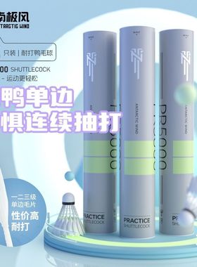 南极风PR5000羽毛球耐打球馆比赛训练口粮球飞行稳定单边全圆球