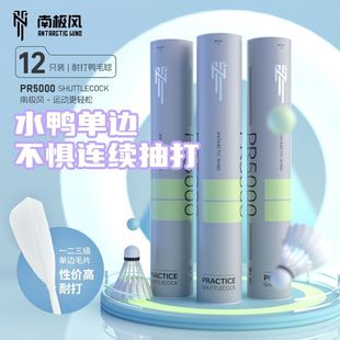 南极风PR5000羽毛球耐打球馆比赛训练口粮球飞行稳定单边全圆球