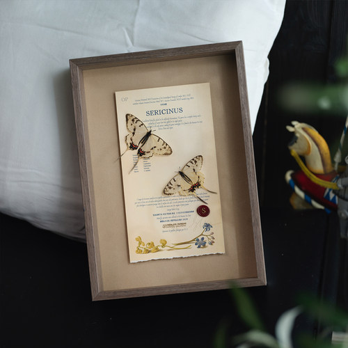 罕见复古高级感收藏定制新婚礼物