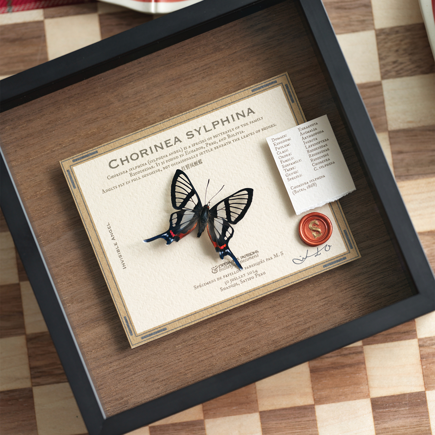 小众爱好收藏圣诞礼物家居摆件