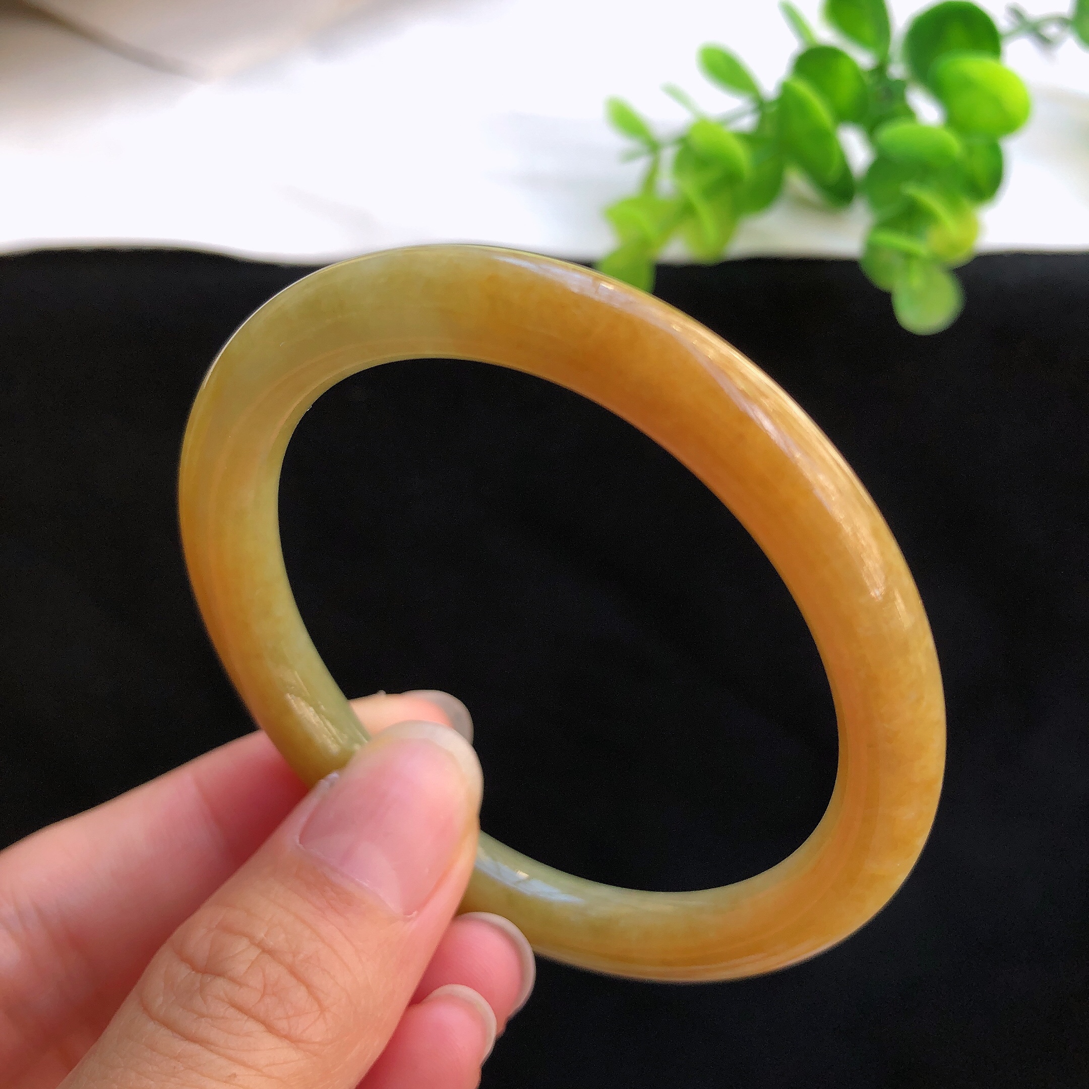 天然翡翠a货 冰糯种黄翡贵妃翡翠手镯 玉镯
