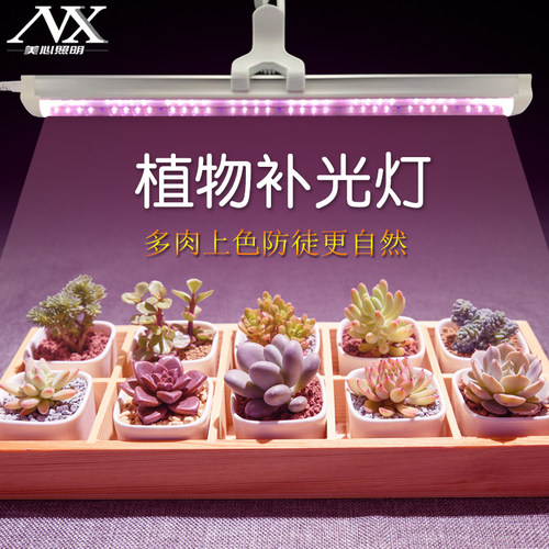 多肉植物灯质量怎么样 多肉植物灯口碑怎么样 小麦优选