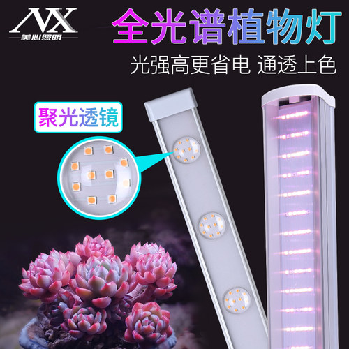 多肉高效上色防徒生长植物补光灯