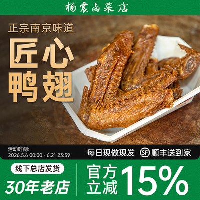 杨震南京特产鸭翅卤味美食零食