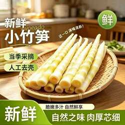 无品牌广雅清汁笋新鲜炒菜乐安竹笋高山野生笋尖真空袋装