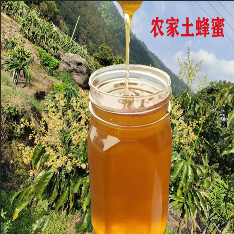 广东茂名高州纯正天然农家土蜂蜜百花蜂蜜自养采野生百花蜜无添加