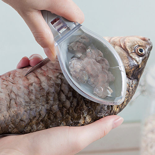 带盖鱼鳞刨价格 带盖鱼鳞刨图片 星期三