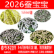 新鲜特嫩桑叶蚕卵 2026年学生养蚕套餐 12345龄彩蚕宝宝 湖南长沙