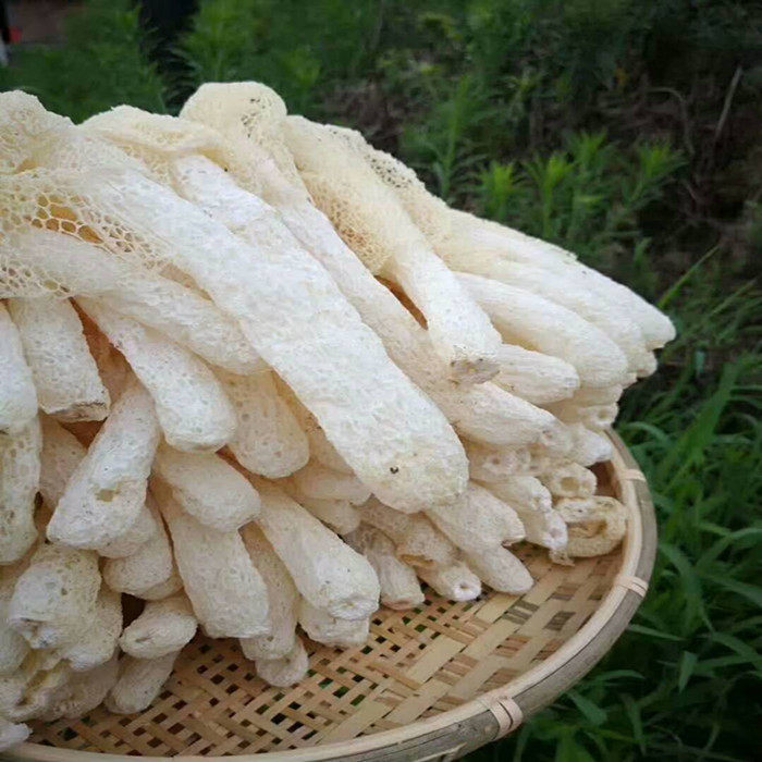 竹荪农家土特产菌菇客家特产
