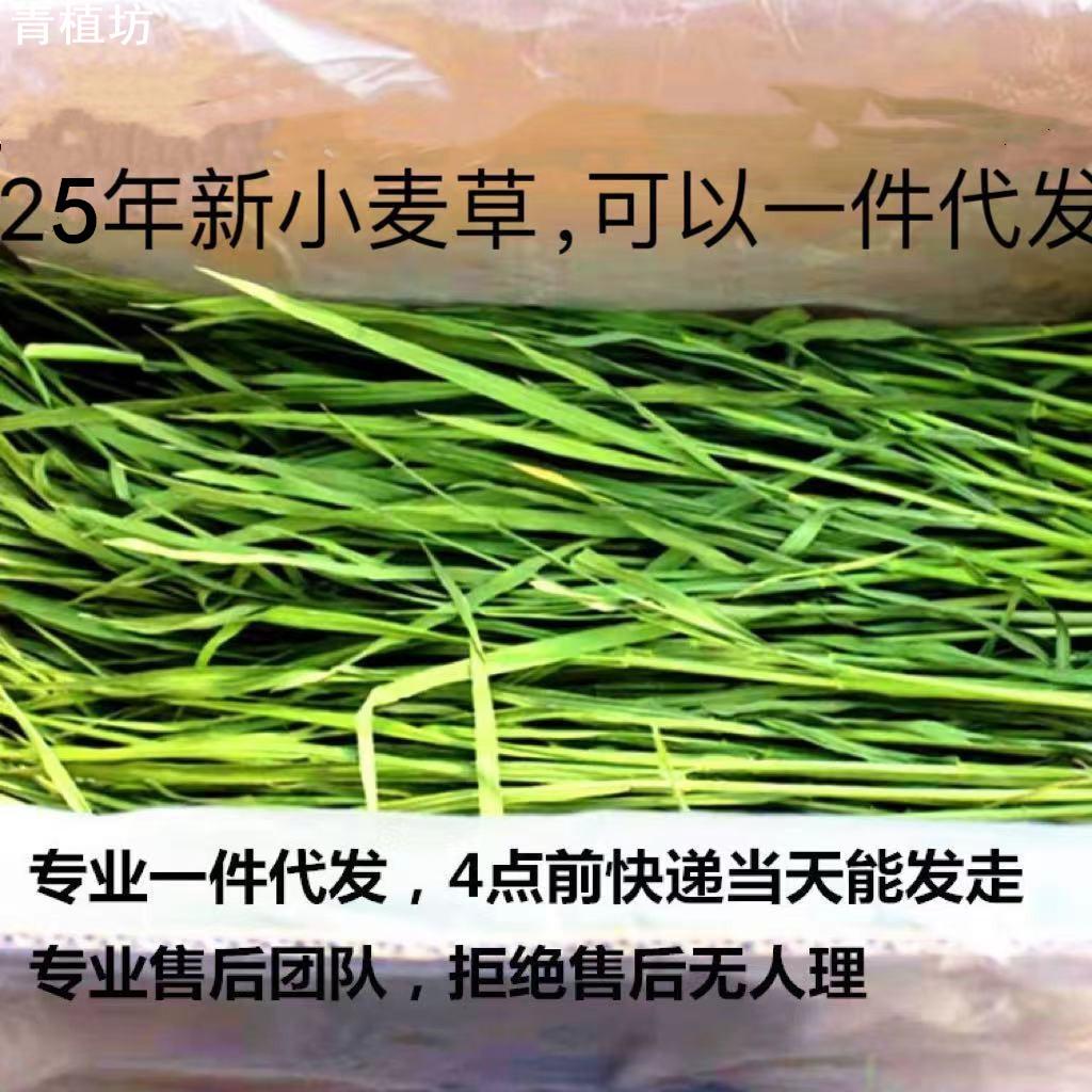 青植坊2025烘干小麦草1000G