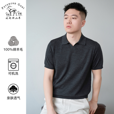 纯羊毛精纺可机洗薄款男士春秋季海鸥领纯色针织短袖T恤POLO衫